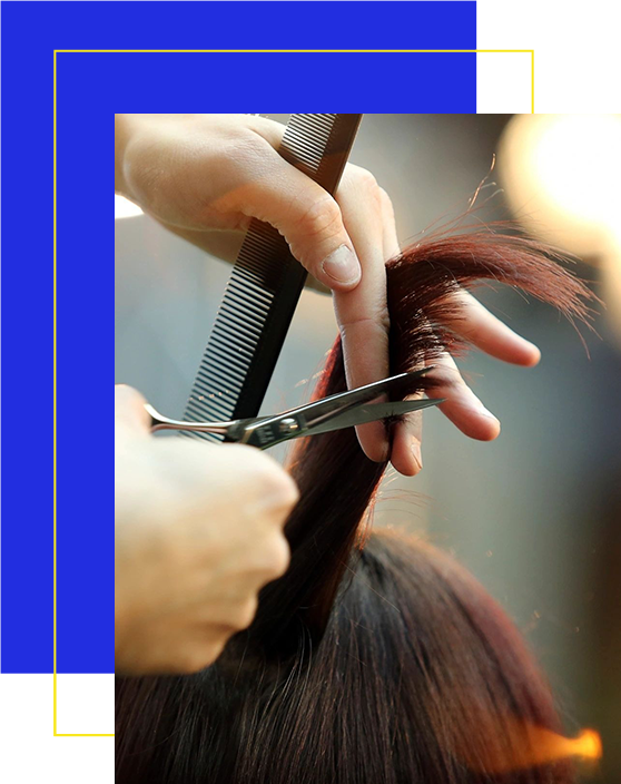Hair Designers of Ormond Beach, LLC
